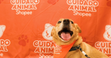 Shopee e Ampara Animal fazem mutirões gratuitos de saúde pet