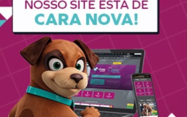 Novo site da Vivaz amplia a experiência de compra