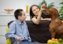 Atendimento gratuito com cães para crianças neurodivergentes