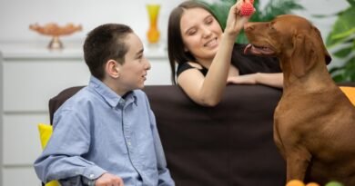 Atendimento gratuito com cães para crianças neurodivergentes