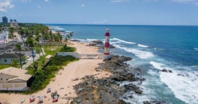 Bahia espera 180 mil turistas na temporada de cruzeiros