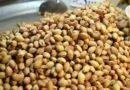 Pistaches oferecem benefícios para a saúde