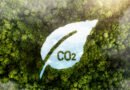 Crédito de carbono de alta qualidade sobe 75%, diz MSCI