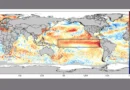 Brasília (DF), 18/06/2026 – EL NIÑO NO OCEANO. Ilustração Nottus/Divulgação