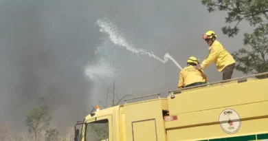 Brasília (DF), 09/10/2026 - Agentes do Corpo de Bombeiros controlam incêndio em área de mata na UnB. Foto: Luiz Cláudio Ferreira/Agência Brasil