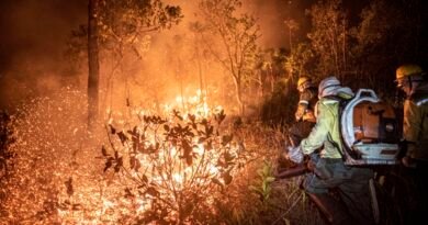 Brasília (DF) 12/09/2024 - Brigadistas do Prevfogo/Ibama e ICMBio combatem incêndios florestais na Terra Indígena Tenharim/Marmelos, no Amazonas Foto: Mayangdi Inzaulgarat/Ibama