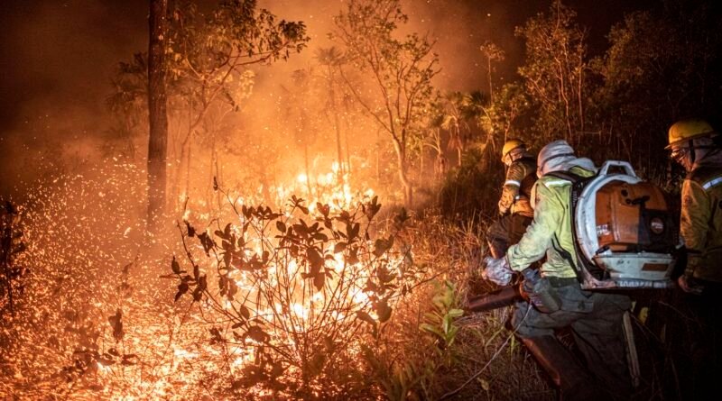Brasília (DF) 12/09/2024 - Brigadistas do Prevfogo/Ibama e ICMBio combatem incêndios florestais na Terra Indígena Tenharim/Marmelos, no Amazonas Foto: Mayangdi Inzaulgarat/Ibama