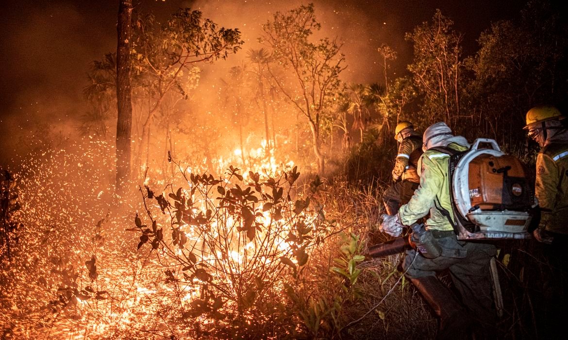 Ibama extinguiu 229 incêndios no Amazonas