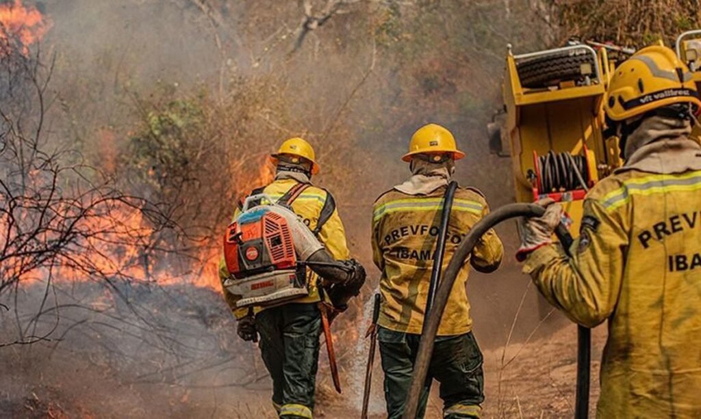Agente do Ibama faz trabalha de contenção de queimadas e incêndio no Amazonas. Foto: Vinícius Mendonça/Ibama