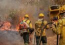 Agente do Ibama faz trabalha de contenção de queimadas e incêndio no Amazonas. Foto: Vinícius Mendonça/Ibama