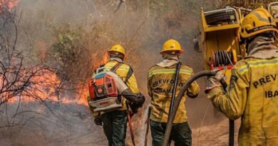 Agente do Ibama faz trabalha de contenção de queimadas e incêndio no Amazonas. Foto: Vinícius Mendonça/Ibama