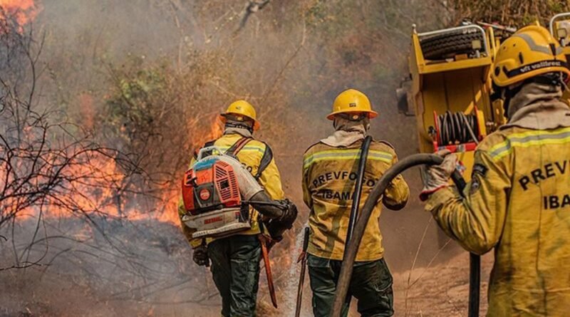 Agente do Ibama faz trabalha de contenção de queimadas e incêndio no Amazonas. Foto: Vinícius Mendonça/Ibama