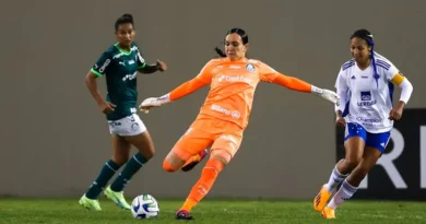 Kate Tapia, Goleira, Palmeiras Feminino -2026