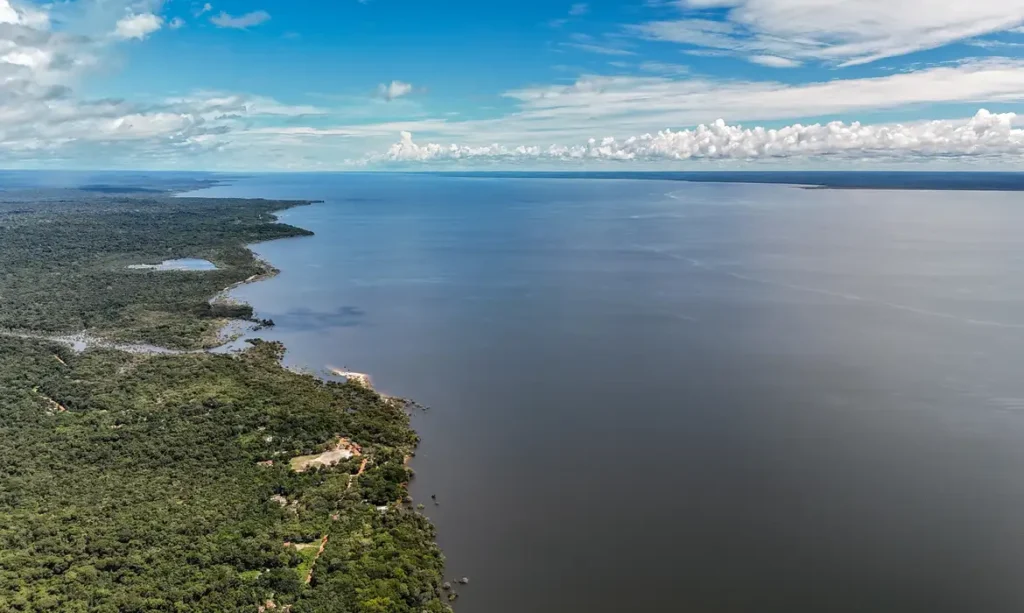 14/05/2026 - Belterra - Floresta Nacional do Tapajós - Pará - Na comunidade de Piquiatuba, dentro da Floresta Nacional do Tapajós, Elton Vasconcelos criou um negócio que une culinária regional, turismo de experiência e desenvolvimento comunitário. A Casa do Eltom virou referência para visitantes que buscam viver a Amazônia real: sabores locais, trilhas, hospitalidade e conexão com a floresta. E é exemplo vivo do turismo de base comunitária. O empreendimento agora amplia sua atuação com passeios turísticos e hospedagem, incluindo a implantação de chalés após conseguir aporte de R$ 200 mil de investidores e alta demanda já na fase inicial. Foto: Rafa Neddermeyer/Agência Brasil