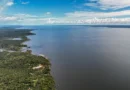 14/05/2026 - Belterra - Floresta Nacional do Tapajós - Pará - Na comunidade de Piquiatuba, dentro da Floresta Nacional do Tapajós, Elton Vasconcelos criou um negócio que une culinária regional, turismo de experiência e desenvolvimento comunitário. A Casa do Eltom virou referência para visitantes que buscam viver a Amazônia real: sabores locais, trilhas, hospitalidade e conexão com a floresta. E é exemplo vivo do turismo de base comunitária. O empreendimento agora amplia sua atuação com passeios turísticos e hospedagem, incluindo a implantação de chalés após conseguir aporte de R$ 200 mil de investidores e alta demanda já na fase inicial. Foto: Rafa Neddermeyer/Agência Brasil