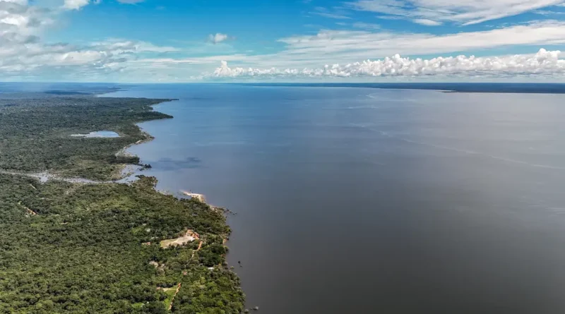 14/05/2026 - Belterra - Floresta Nacional do Tapajós - Pará - Na comunidade de Piquiatuba, dentro da Floresta Nacional do Tapajós, Elton Vasconcelos criou um negócio que une culinária regional, turismo de experiência e desenvolvimento comunitário. A Casa do Eltom virou referência para visitantes que buscam viver a Amazônia real: sabores locais, trilhas, hospitalidade e conexão com a floresta. E é exemplo vivo do turismo de base comunitária. O empreendimento agora amplia sua atuação com passeios turísticos e hospedagem, incluindo a implantação de chalés após conseguir aporte de R$ 200 mil de investidores e alta demanda já na fase inicial. Foto: Rafa Neddermeyer/Agência Brasil