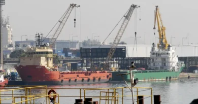 Atracação de navios no Caís do Porto do Rio de Janeiro, guindaste, container.