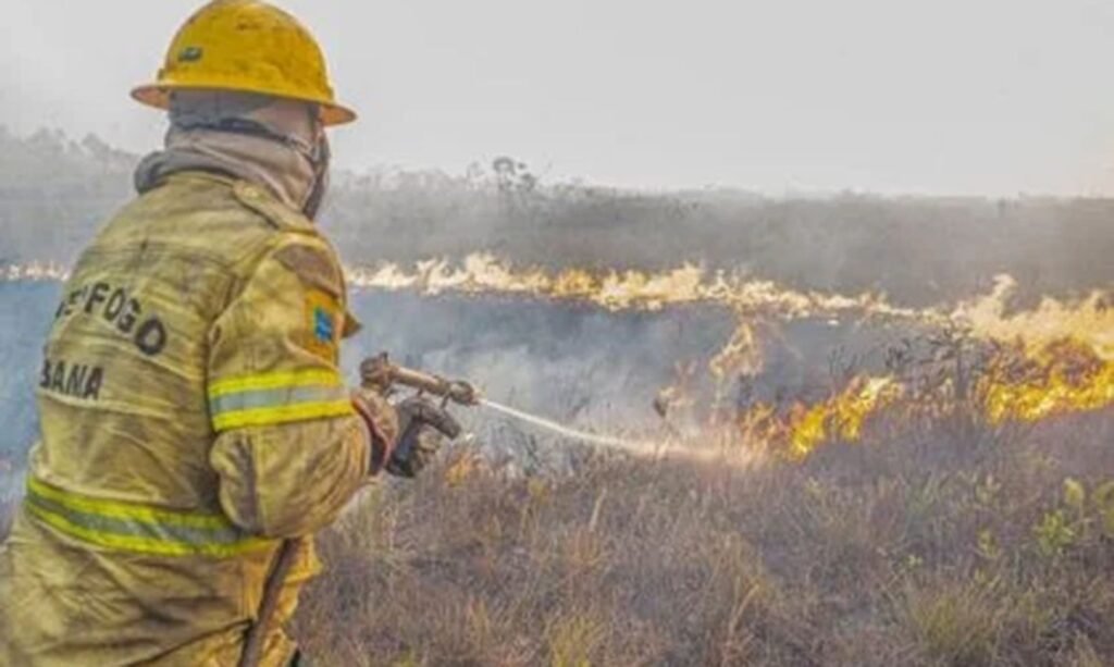 Agente do Ibama faz trabalha de contenção de queimadas e incêndio no Amazonas. Foto: Ibama/Divulgação