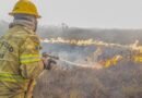 Agente do Ibama faz trabalha de contenção de queimadas e incêndio no Amazonas. Foto: Ibama/Divulgação