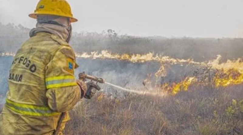 Agente do Ibama faz trabalha de contenção de queimadas e incêndio no Amazonas. Foto: Ibama/Divulgação