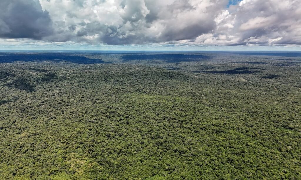 14/05/2026 - Belterra - Floresta Nacional do Tapajós - Pará - Na comunidade de Piquiatuba, dentro da Floresta Nacional do Tapajós, Elton Vasconcelos criou um negócio que une culinária regional, turismo de experiência e desenvolvimento comunitário. A Casa do Eltom virou referência para visitantes que buscam viver a Amazônia real: sabores locais, trilhas, hospitalidade e conexão com a floresta. E é exemplo vivo do turismo de base comunitária. O empreendimento agora amplia sua atuação com passeios turísticos e hospedagem, incluindo a implantação de chalés após conseguir aporte de R$ 200 mil de investidores e alta demanda já na fase inicial. Foto: Rafa Neddermeyer/Agência Brasil
