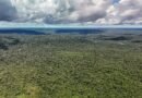 14/05/2026 - Belterra - Floresta Nacional do Tapajós - Pará - Na comunidade de Piquiatuba, dentro da Floresta Nacional do Tapajós, Elton Vasconcelos criou um negócio que une culinária regional, turismo de experiência e desenvolvimento comunitário. A Casa do Eltom virou referência para visitantes que buscam viver a Amazônia real: sabores locais, trilhas, hospitalidade e conexão com a floresta. E é exemplo vivo do turismo de base comunitária. O empreendimento agora amplia sua atuação com passeios turísticos e hospedagem, incluindo a implantação de chalés após conseguir aporte de R$ 200 mil de investidores e alta demanda já na fase inicial. Foto: Rafa Neddermeyer/Agência Brasil