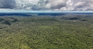 14/05/2026 - Belterra - Floresta Nacional do Tapajós - Pará - Na comunidade de Piquiatuba, dentro da Floresta Nacional do Tapajós, Elton Vasconcelos criou um negócio que une culinária regional, turismo de experiência e desenvolvimento comunitário. A Casa do Eltom virou referência para visitantes que buscam viver a Amazônia real: sabores locais, trilhas, hospitalidade e conexão com a floresta. E é exemplo vivo do turismo de base comunitária. O empreendimento agora amplia sua atuação com passeios turísticos e hospedagem, incluindo a implantação de chalés após conseguir aporte de R$ 200 mil de investidores e alta demanda já na fase inicial. Foto: Rafa Neddermeyer/Agência Brasil