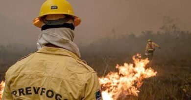 Agente do Ibama faz trabalha de contenção de queimadas e incêndio no Amazonas. Foto: Ibama/Divulgação