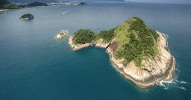 Reserva marinha alia proteção ambiental com atividades econômicas. Divulgação do governo do estado do Rio