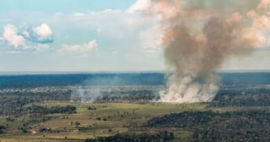 13/10/2026 - Acre - Fogo, queimadas, incêndios florestais e fumaça ameaçam a floresta amazônica no Acre. Entre Cruzeiro do Sul e Marechal Thaumaturgo, a paisagem revela a pressão sobre a vegetação nativa e a biodiversidade. Foto: Rafa Neddermeyer/Agência Brasil