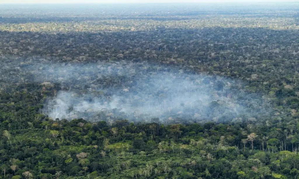 13/10/2026 - Acre - Fogo, queimadas, incêndios florestais e fumaça ameaçam a floresta amazônica no Acre. Entre Cruzeiro do Sul e Marechal Thaumaturgo, a paisagem revela a pressão sobre a vegetação nativa e a biodiversidade. Foto: Rafa Neddermeyer/Agência Brasil