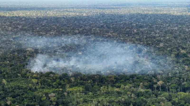 13/10/2026 - Acre - Fogo, queimadas, incêndios florestais e fumaça ameaçam a floresta amazônica no Acre. Entre Cruzeiro do Sul e Marechal Thaumaturgo, a paisagem revela a pressão sobre a vegetação nativa e a biodiversidade. Foto: Rafa Neddermeyer/Agência Brasil