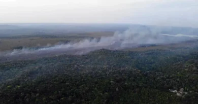 Alter do Chão, distrito de Santarém (PA), também foi atingido pelas chamas; a qualidade do ar no município é considerada insalubre nesta segunda-feira 19. Foto: Brigada de Alter do Chão (PA)/ Divulgação