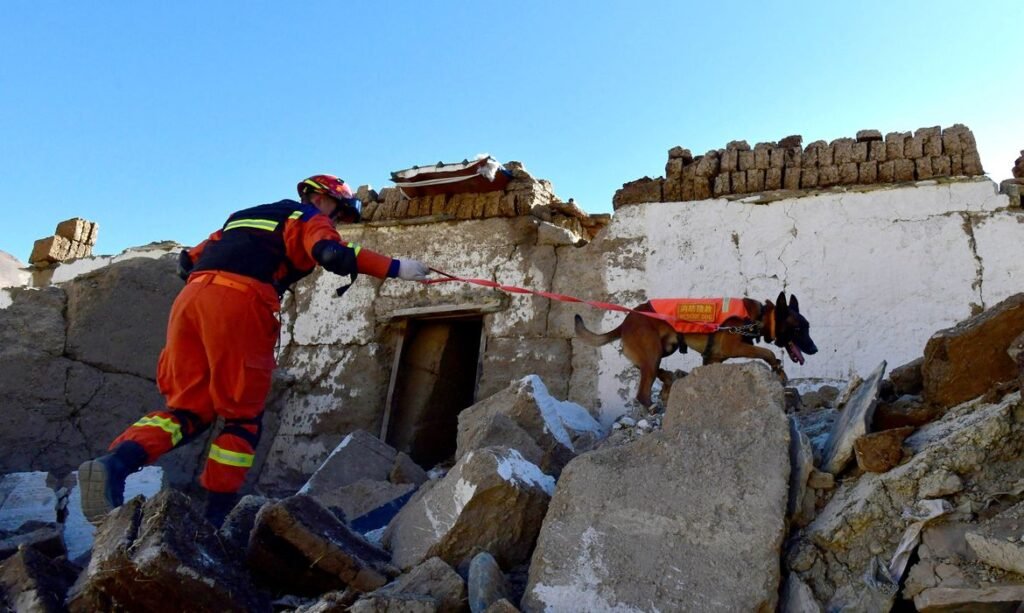 Bombeiro realiza operação de busca e resgate com cão farejador após terremoto no Tibete 08/01/2025 cnsphoto via REUTERS