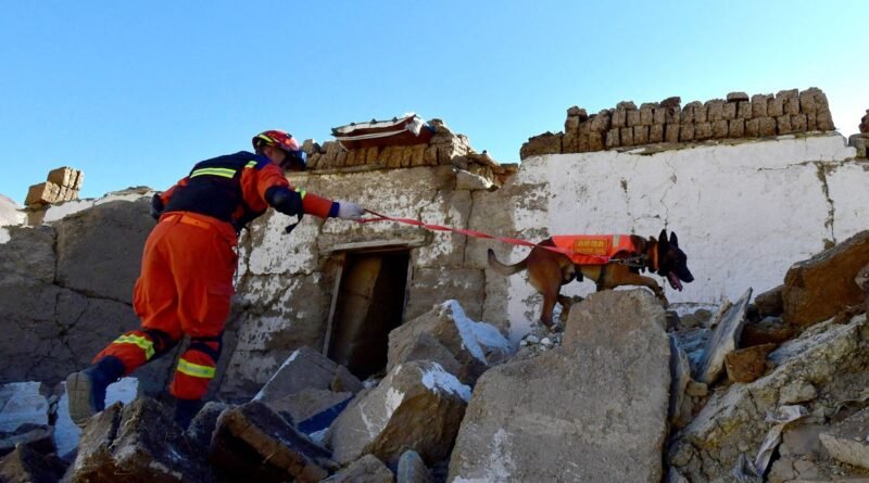 Bombeiro realiza operação de busca e resgate com cão farejador após terremoto no Tibete 08/01/2025 cnsphoto via REUTERS