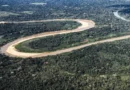 13/10/2026 - Acre - O rio Tejo corta a floresta amazônica no Acre, entre Cruzeiro do Sul e Marechal Thaumaturgo. Rios, mata nativa, biodiversidade e comunidades ribeirinhas compõem a paisagem natural de uma das regiões mais remotas da Amazônia brasileira. Foto: Rafa Neddermeyer/Agência Brasil