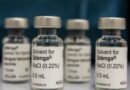 São Paulo (SP), 04/04/2024 - Detralhe do frasco da vacina Qdenga contra dengue, hoje foi primeiro dia de vacinação contra dengue em crianças de 10 a 14 anos na Unidade Básica de Saúde - UBS Vila Jaguara, na região oeste. Foto: Rovena Rosa/Agência Brasil