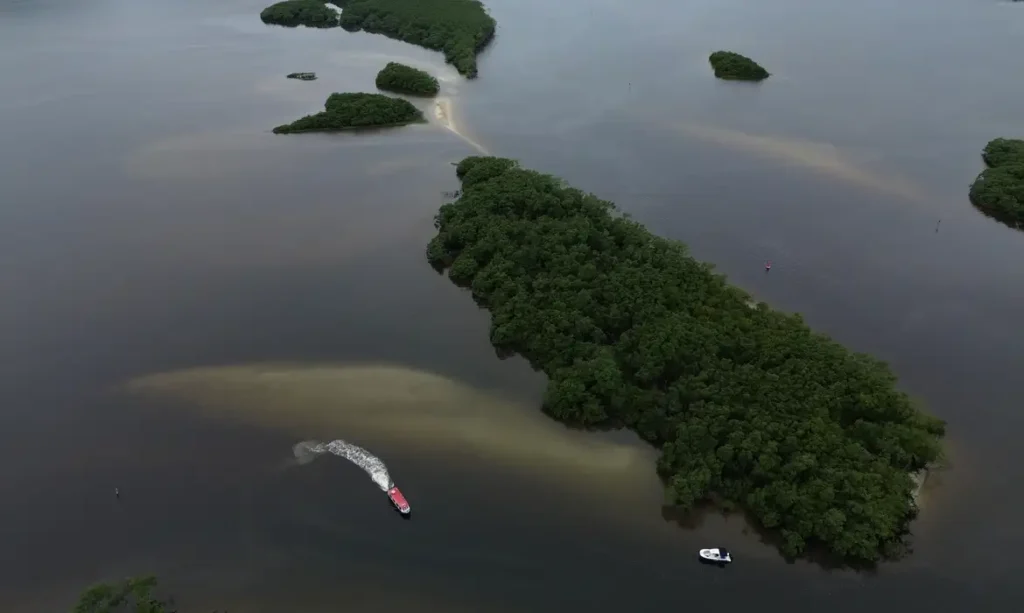 Paranaguá (PR), 18/05/2026 – Manguezal na Baía de Paranaguá, área da Grande Reserva da Mata Atlêntica, onde ocorre monitoramento por pesquisadores do Programa de Recuperação da Biodiversidade Marinha (Rebimar). Foto: Fernando Frazão/Agência Brasil