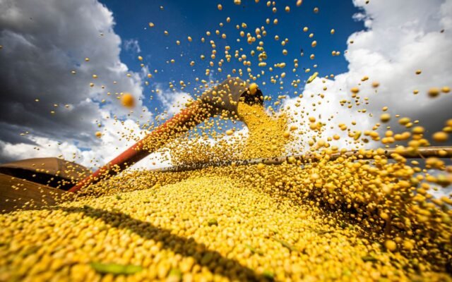 Colheita de soja, agricultura