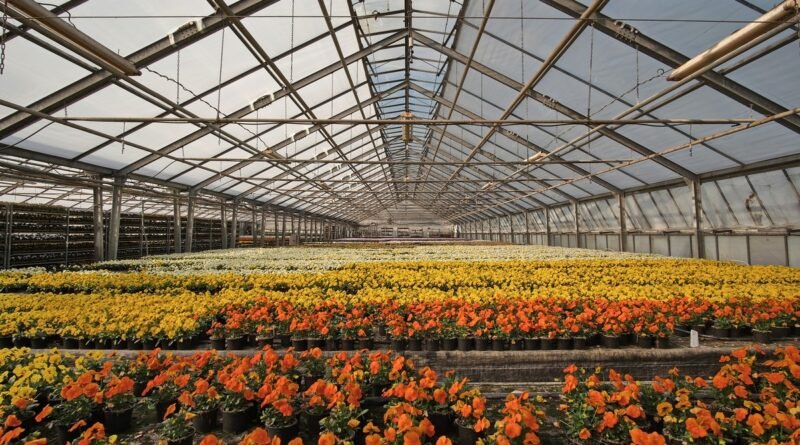 IA transforma o varejo de flores e otimiza operações
